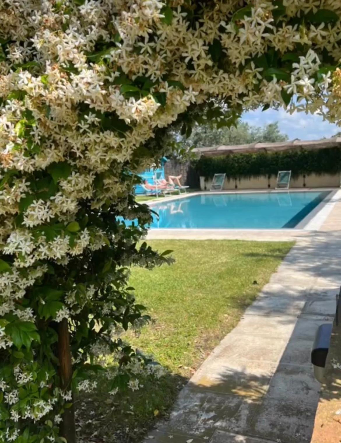 Farm stay Borgeri Castagneto Carducci